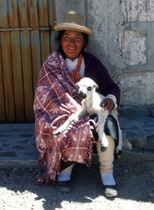 peruvian-336141_640